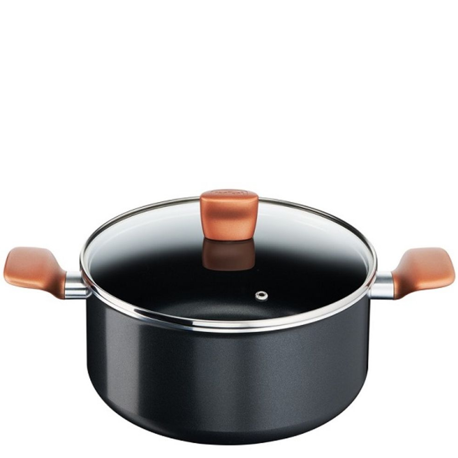 Lonac Express sa poklopcem 24 cm - B2554602 Tefal