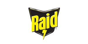 Raid